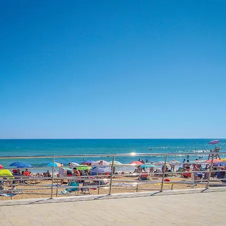 Amazing In تورّيفيِخا