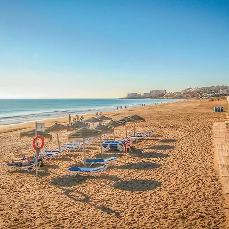 Amazing In 公寓 托雷维耶哈